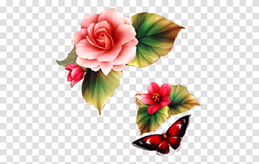 Assalamualaikum Good Morning Gif, Plant, Flower, Blossom, Rose Transparent Png