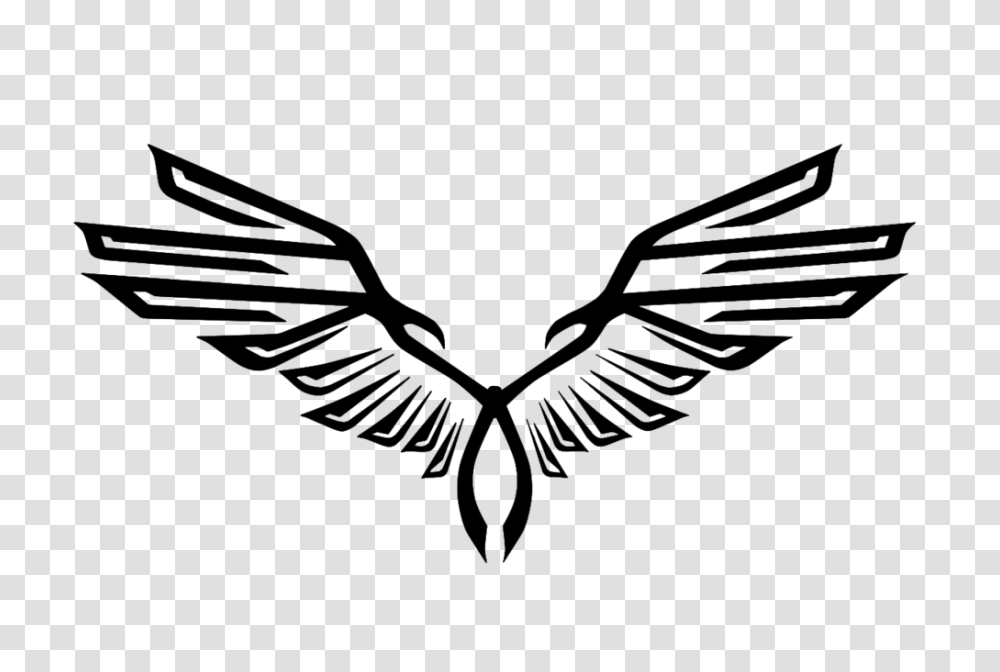 Assassins Creed Clipart Eagle Wing Spread, Flying, Bird, Animal Transparent Png