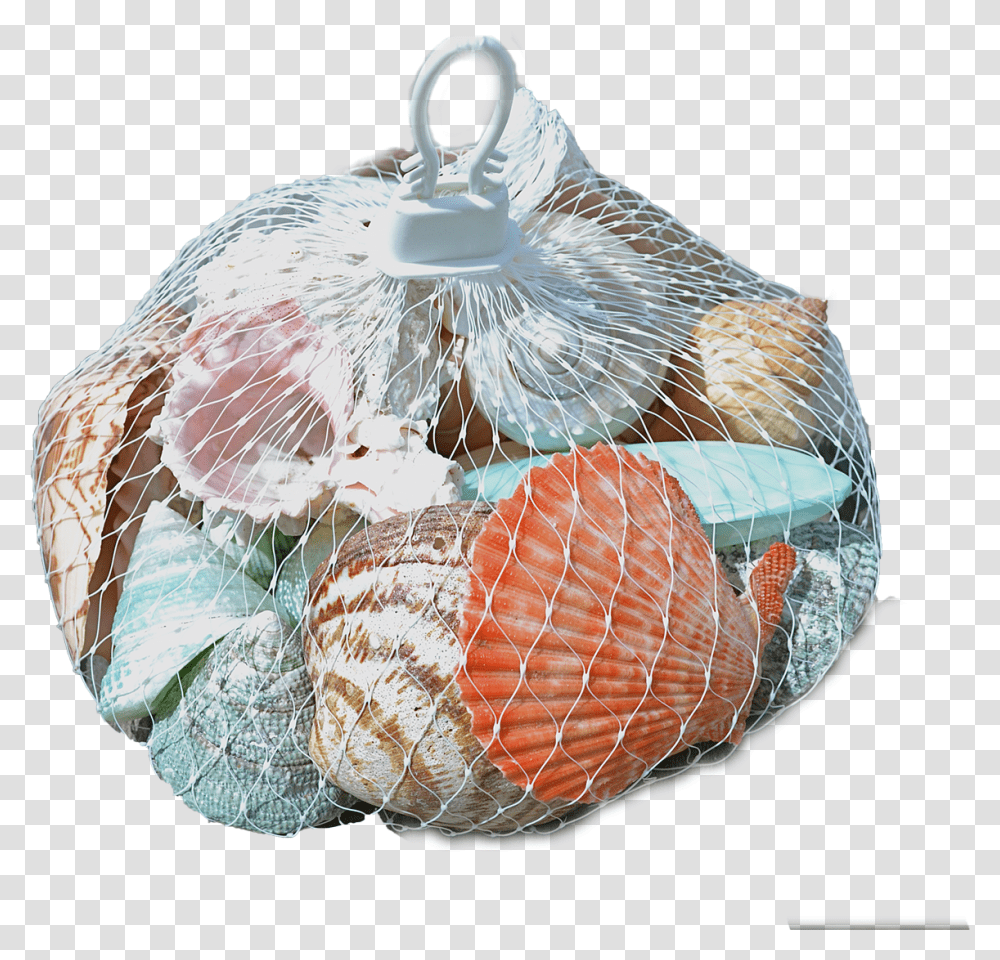 Assorted Polished Shells In A White Plastic Net Hanger White Plastic Mesh Bag, Plant, Sweets, Food, Produce Transparent Png