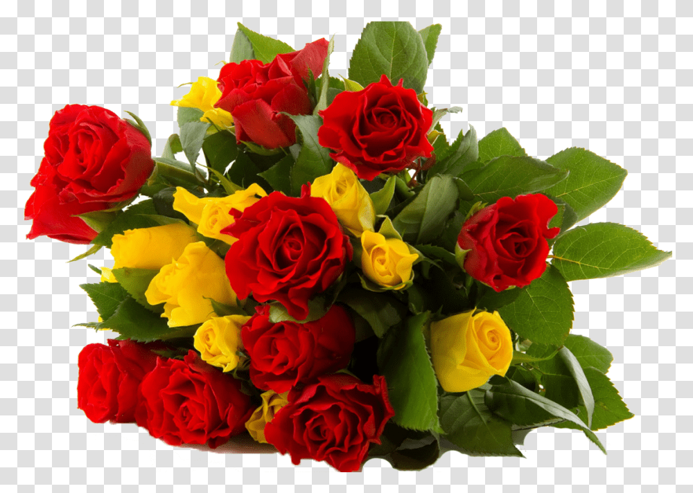 Assorted Roses Bouquet Good Morning Quotes On Dosti, Plant, Flower Bouquet, Flower Arrangement, Blossom Transparent Png