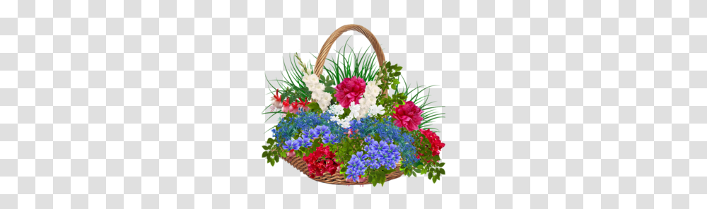 Aster Clipart, Basket, Plant, Flower, Blossom Transparent Png