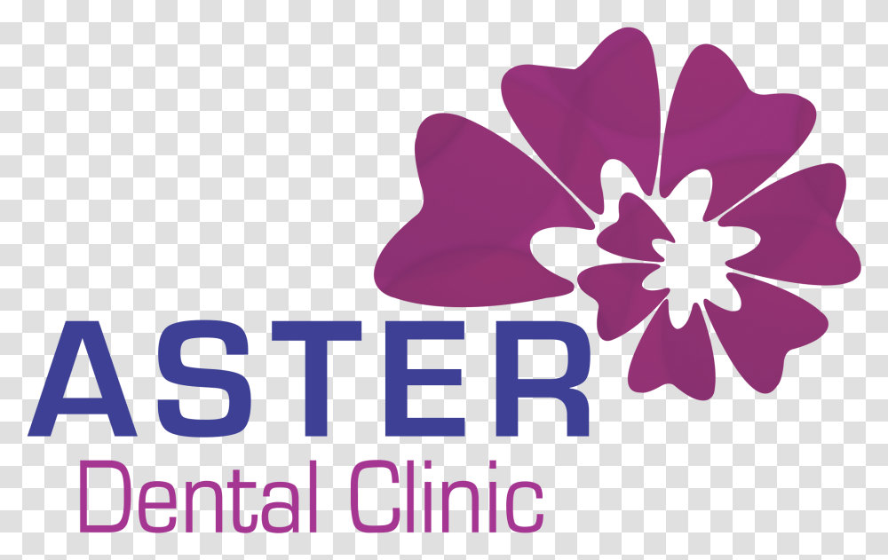 Aster Dental Clinic Multi Language, Purple, Plant, Flower, Blossom Transparent Png