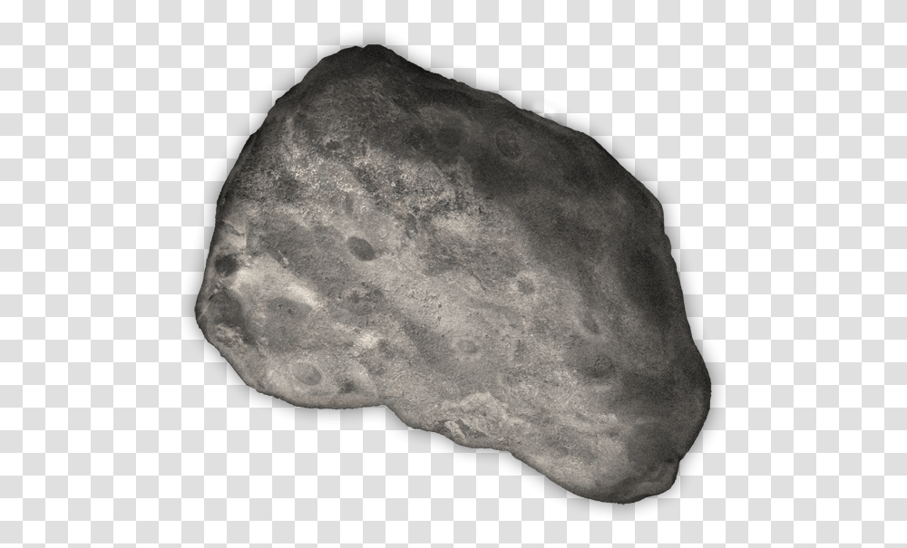 Asteroid, Fossil, Rock, X-Ray, Ct Scan Transparent Png