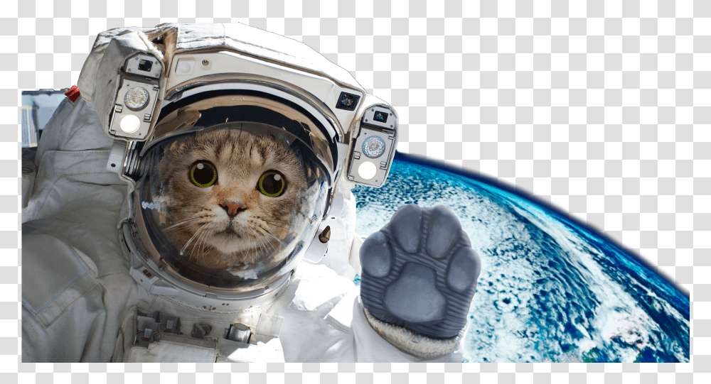 Astronaut Cat On Moon, Helmet, Apparel, Pet Transparent Png