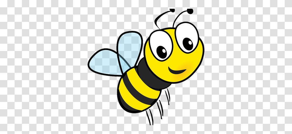 Asu Bees, Insect, Invertebrate, Animal, Honey Bee Transparent Png