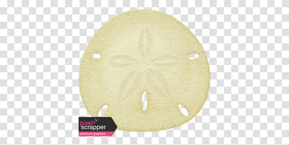 At The Beach Sand Dollar Graphic By Sheila Reid Pixel Circle, Rug, Cookie, Food, Biscuit Transparent Png
