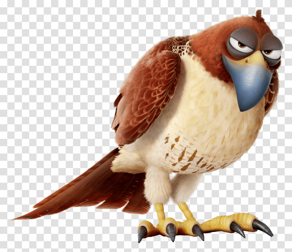 At The Movies Secret Life Of Pets Eagle, Bird, Animal, Beak, Vulture Transparent Png