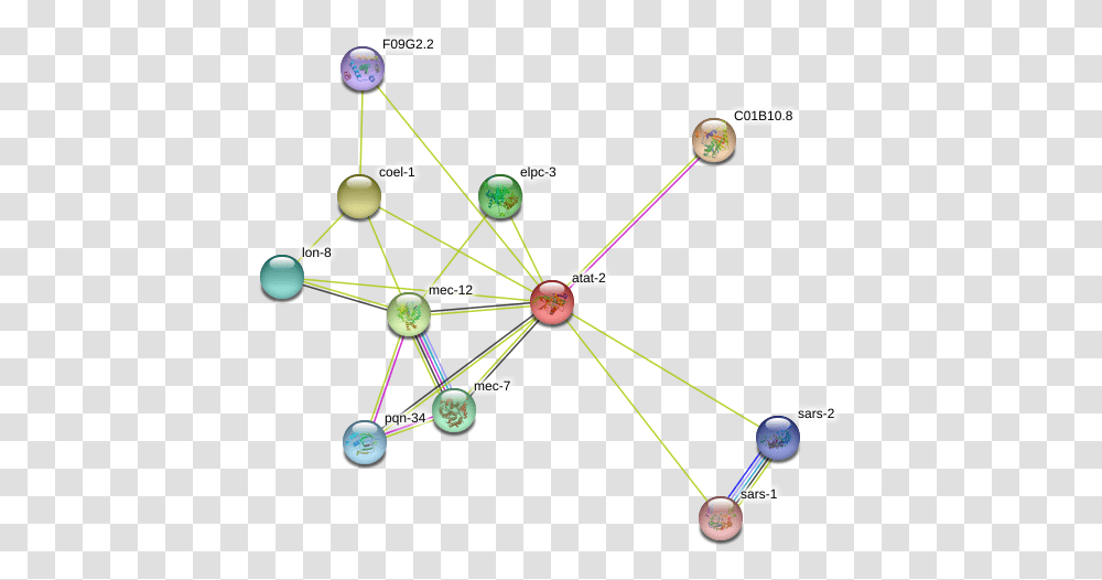 Atat 2 Protein Circle, Network, Diagram Transparent Png