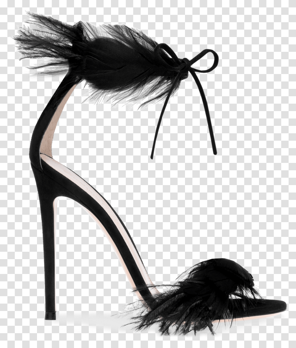 Athena Gianvito Rossi Black Feather Heels, Clothing, Apparel, Footwear, Shoe Transparent Png