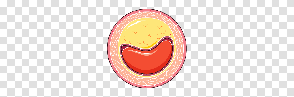 Atheroma, Food, Stomach, Mouth, Lip Transparent Png
