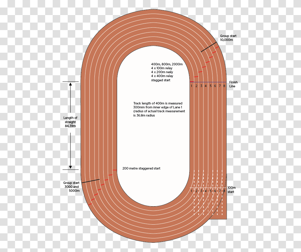 Athlete Drawing Athletics Standard Track Of Races, Coil, Spiral, Plot Transparent Png
