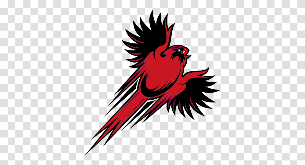 Athleticknit Logos For Your Custom Jerseys And Teamwear Automotive Decal, Animal, Outdoors, Crawdad, Seafood Transparent Png