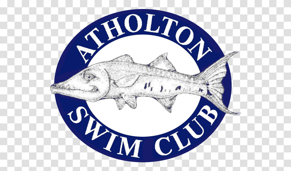 Atholton Swim Club Woodford Reserve, Fish, Animal, Coho, Mullet Fish Transparent Png