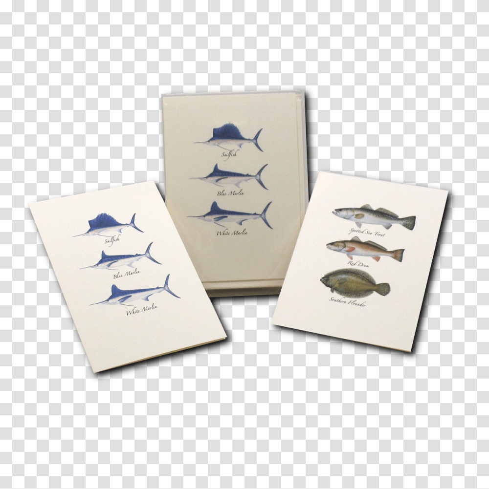 Atlantic Blue Marlin, Bird, Animal, Airplane Transparent Png