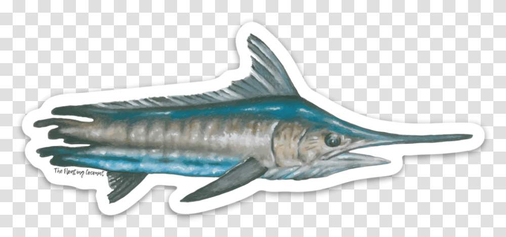 Atlantic Blue Marlin, Fish, Animal, Sea Life, Tuna Transparent Png