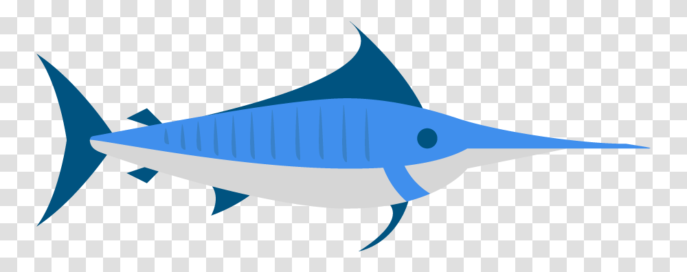 Atlantic Blue Marlin Image Swordfish, Tuna, Sea Life, Animal, Airplane Transparent Png