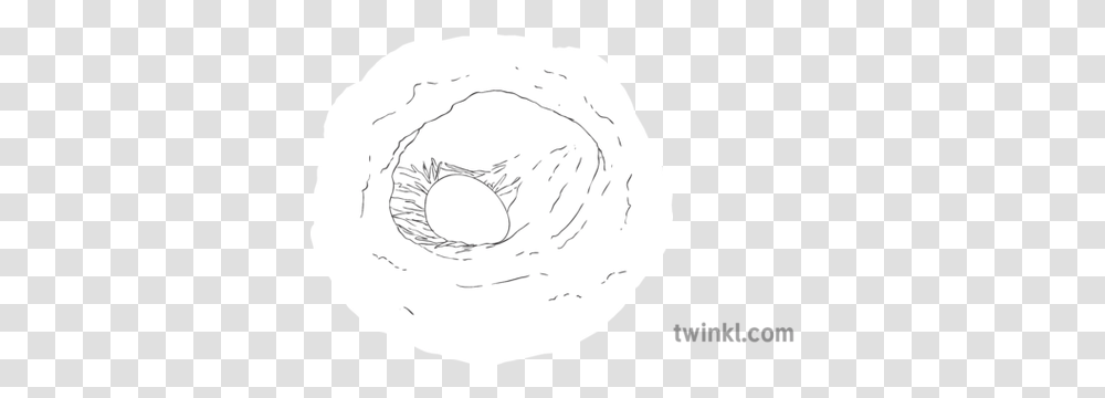 Atlantic Puffin Nest Egg Bird Science Ks2 Bw Rgb Dot, Food, Pastry, Dessert, Donut Transparent Png