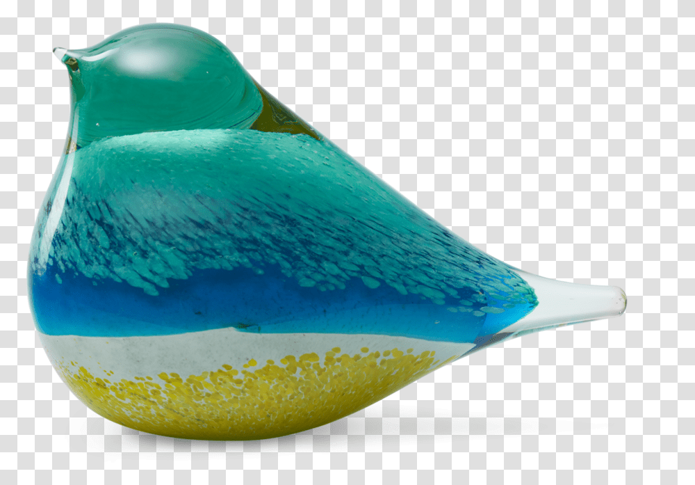 Atlas Glass Bird Indio Reflection, Sea Life, Animal, Fish, Surgeonfish Transparent Png