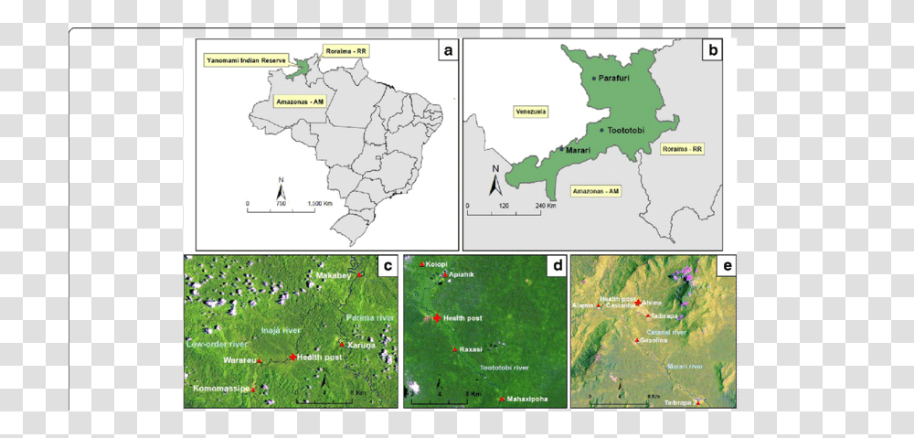 Atlas, Map, Diagram, Plot, Vegetation Transparent Png