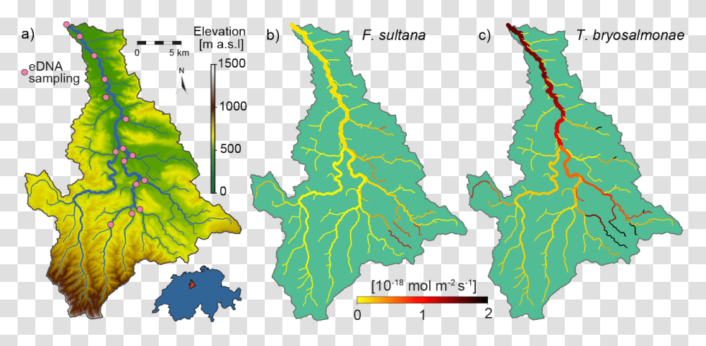 Atlas, Plot, Map, Diagram, Land Transparent Png