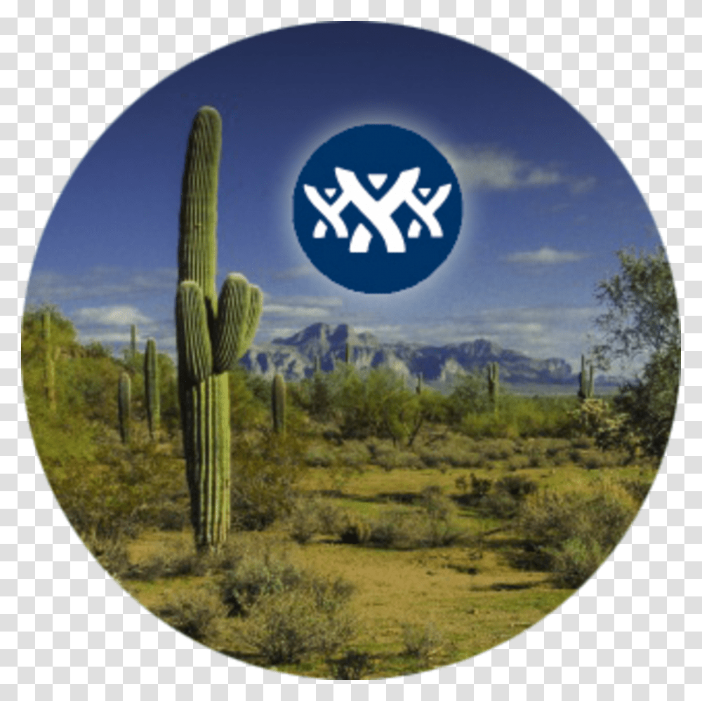 Atlassian User Groups Phoenix San Pedro Cactus, Plant Transparent Png