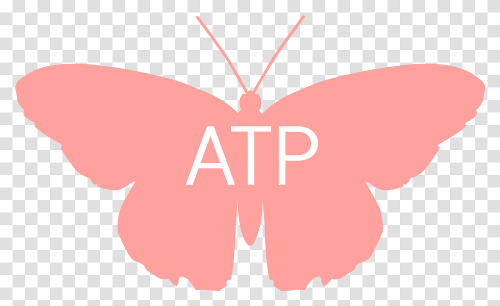 Atp Butterfly Lycaenid, Insect, Invertebrate, Animal, Moth Transparent Png