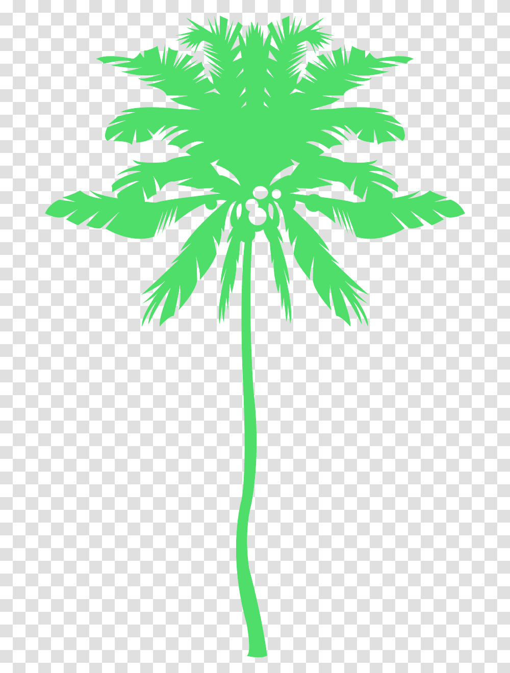 Attalea Speciosa, Plant, Green, Leaf, Palm Tree Transparent Png