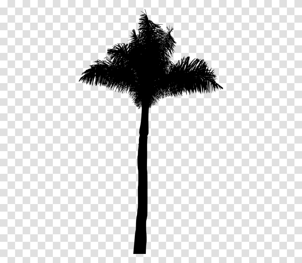 Attalea Speciosa, Silhouette, Palm Tree, Plant, Arecaceae Transparent Png