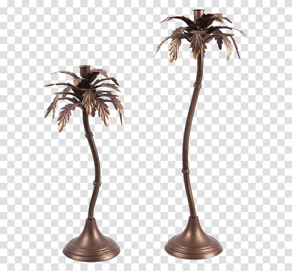 Attalea Speciosa, Tree, Plant, Lamp, Palm Tree Transparent Png