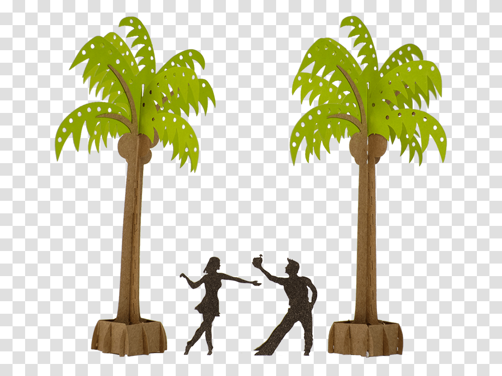 Attalea Speciosa, Tree, Plant, Palm Tree, Arecaceae Transparent Png