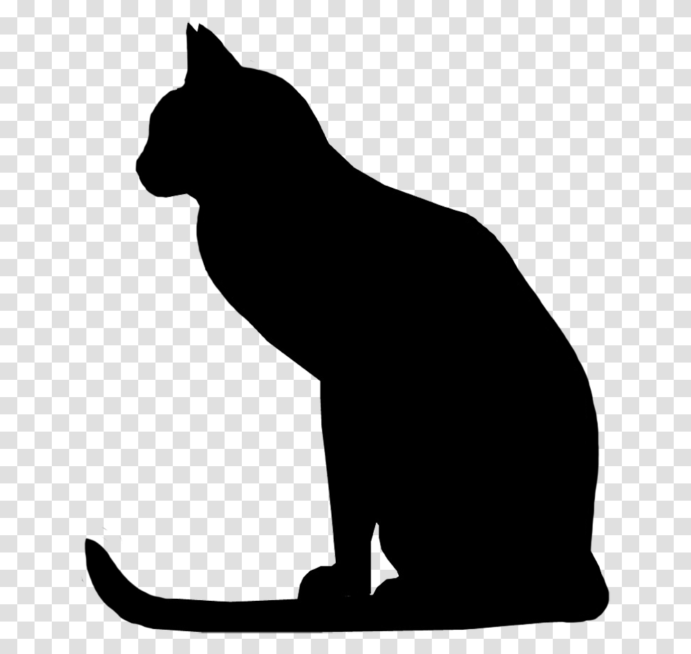 Attentive Cat Silhouette Cat With Long Tail Silhouette Raccoon, Photography, Kneeling, Outdoors, Stencil Transparent Png