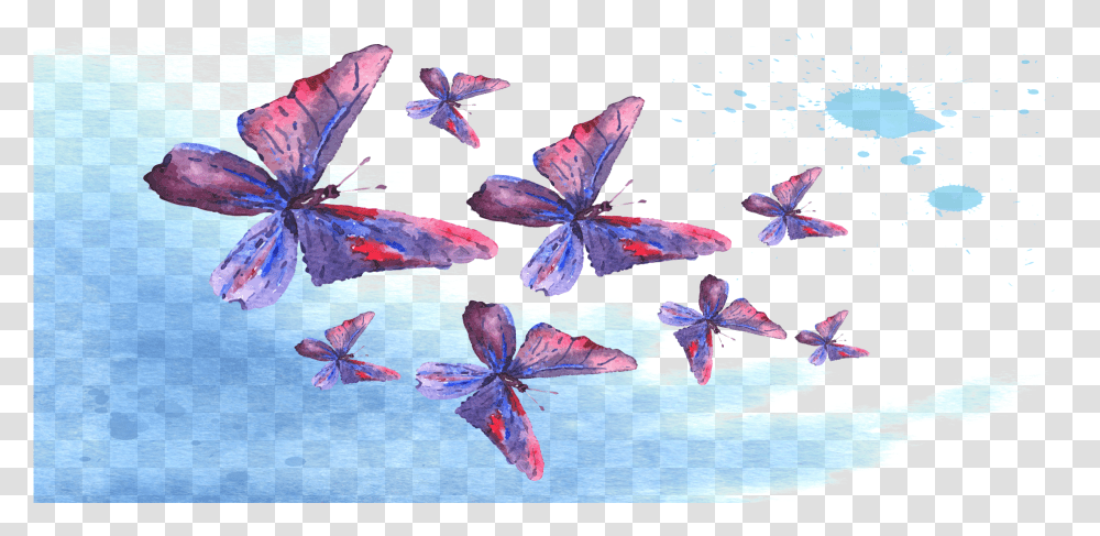 Attract Butterflies With Campsite Butterfly Nectar Rv Polyommatus, Plant, Leaf, Art, Flower Transparent Png