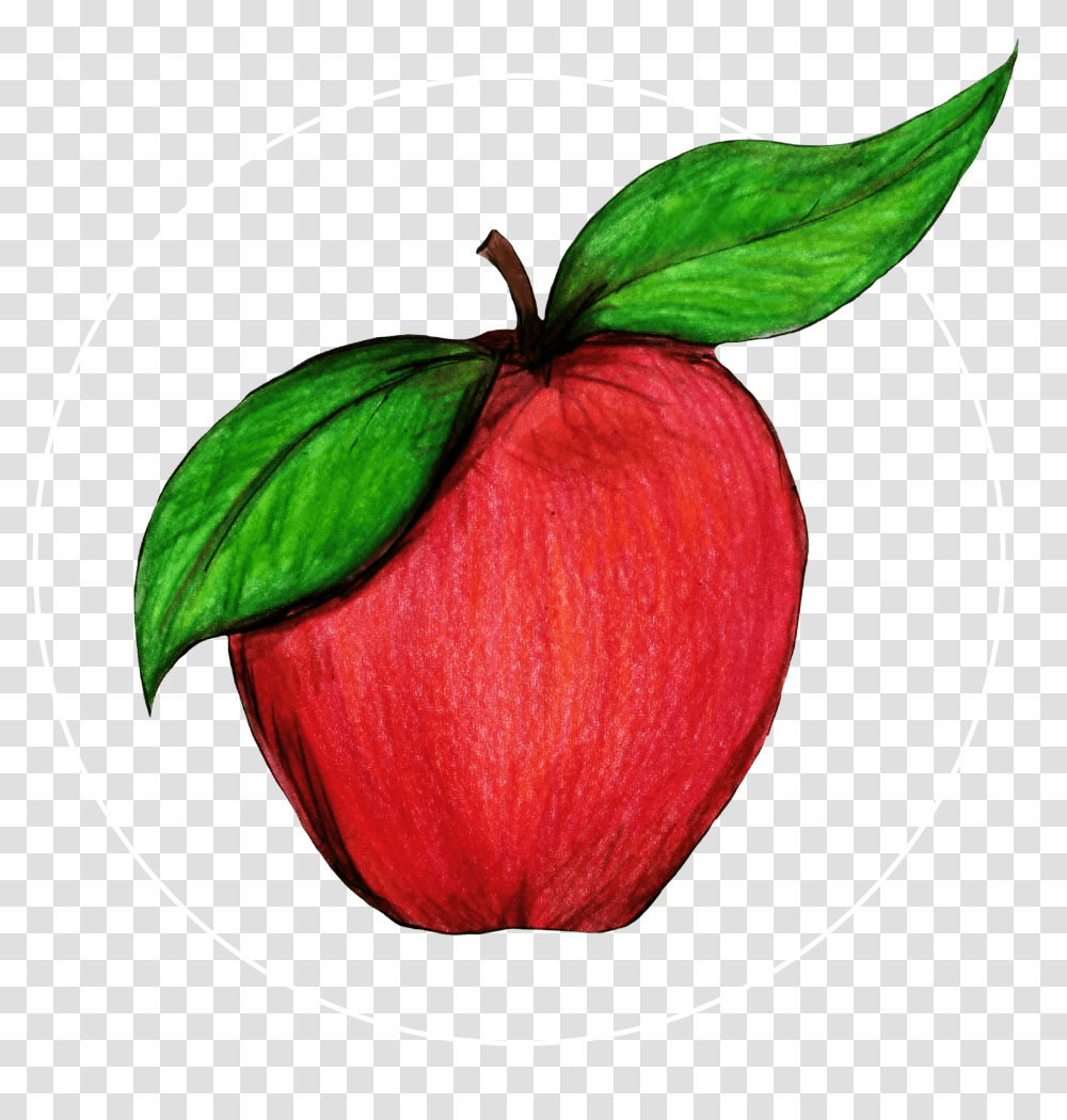 Attribute Motif Apple White Mcintosh, Plant, Fruit, Food, Green Transparent Png