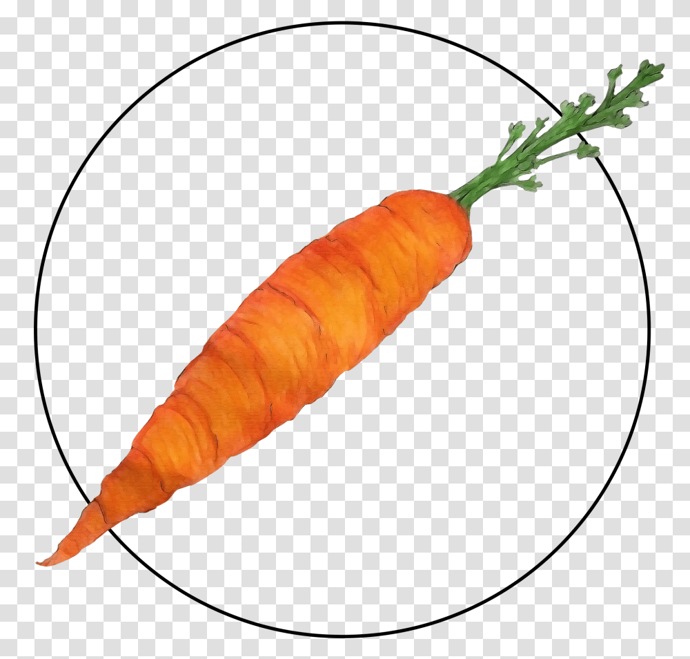 Attribute Motif Carrot, Plant, Vegetable, Food Transparent Png