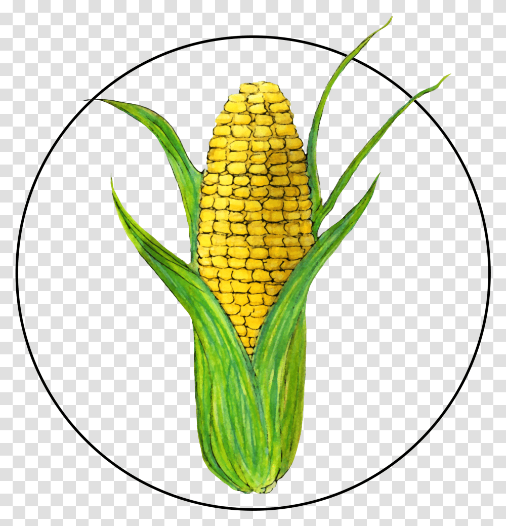 Attribute Motif Corn Corn Kernels, Plant, Vegetable, Food, Pineapple Transparent Png