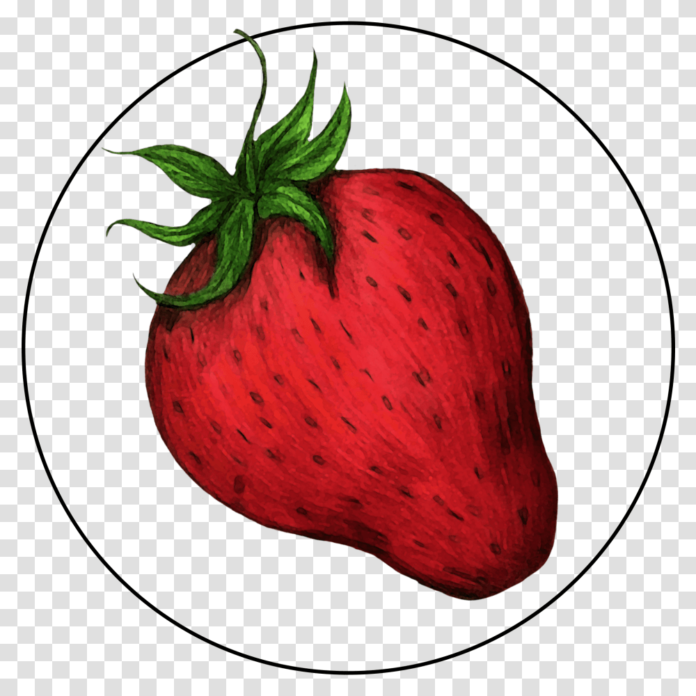 Attribute Motif Strawberry Strawberry, Fruit, Plant, Food, Pineapple Transparent Png