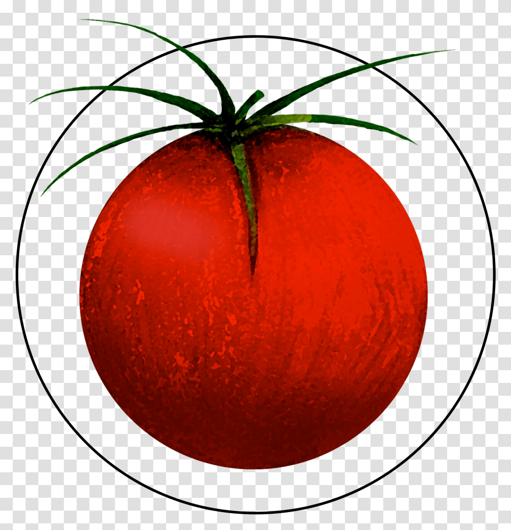 Attribute Motif Tomato Tomato, Plant, Fruit, Food, Citrus Fruit Transparent Png
