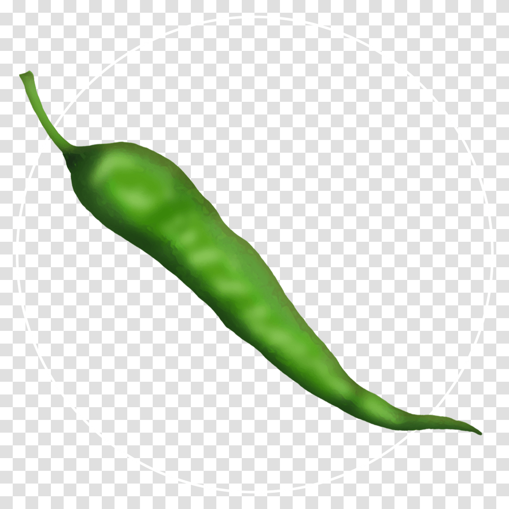Attribute Produce Sirvi Pepper White Bird's Eye Chili, Plant, Vegetable, Food, Pea Transparent Png