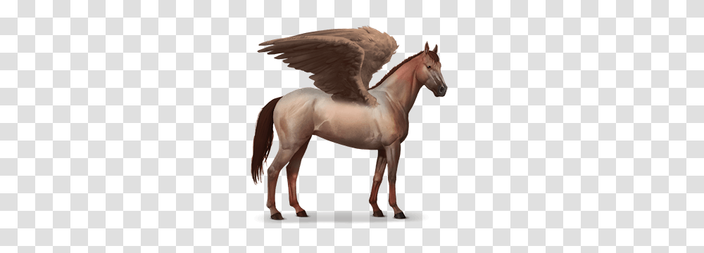 Aub, Fantasy, Andalusian Horse, Mammal, Animal Transparent Png