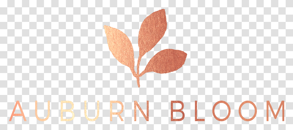Auburn Bloom Leaf, Plant, Tree, Alphabet Transparent Png