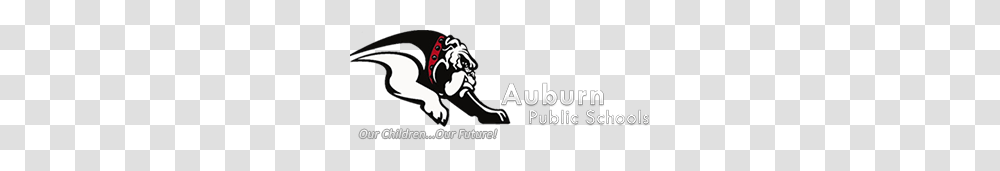 Auburn Public Schools, Performer, Face, Leisure Activities, Pianist Transparent Png