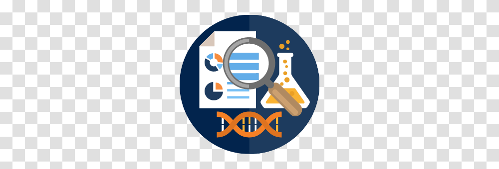 Auburn University, Magnifying Transparent Png