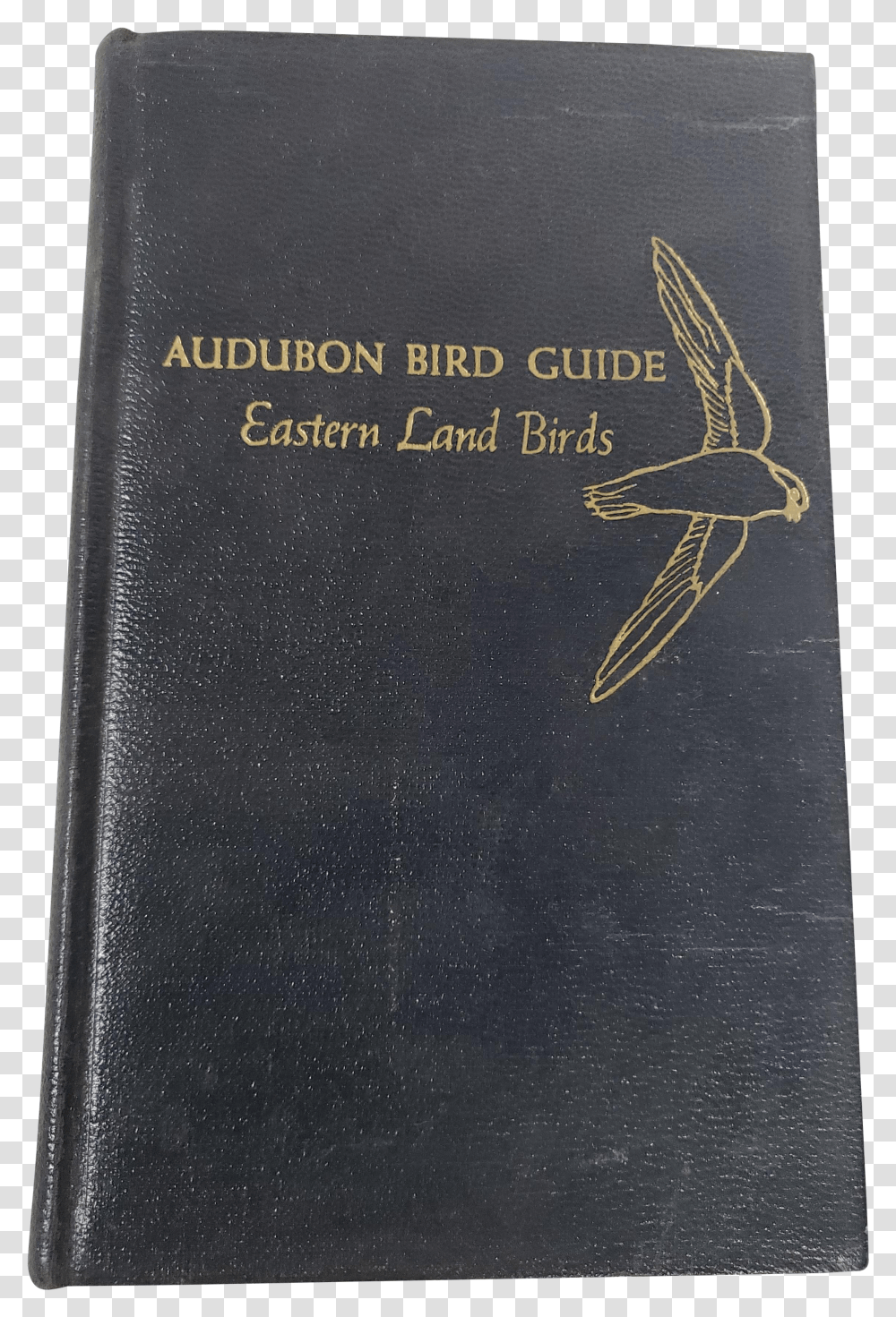 Audubon Bird Guide Eastern Land Birds 1946 Fashion Brand Transparent Png