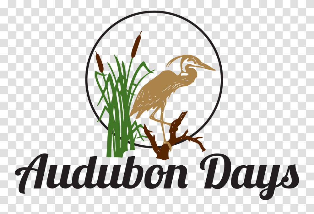 Audubon Days, Bird, Animal, Waterfowl, Heron Transparent Png