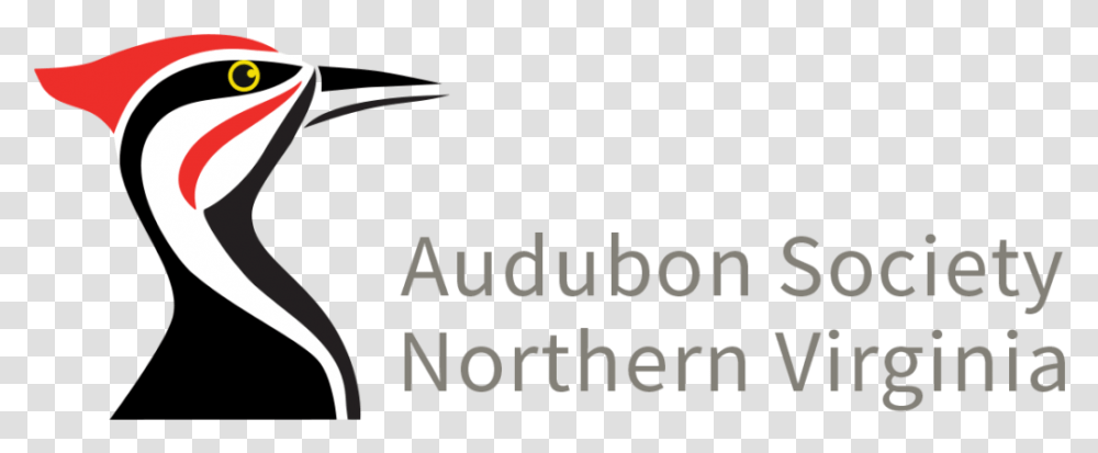 Audubon Society Of Northern Virginia, Bird, Animal, Suit Transparent Png