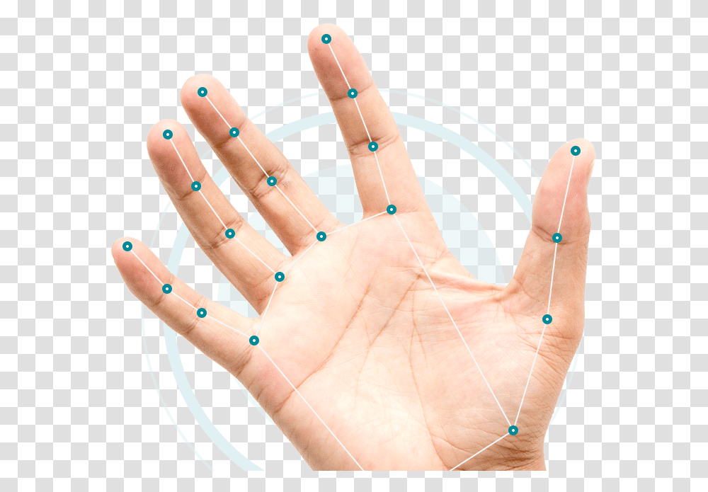 Augmented Reality Hand Tracking, Wrist, Finger, Person, Human Transparent Png