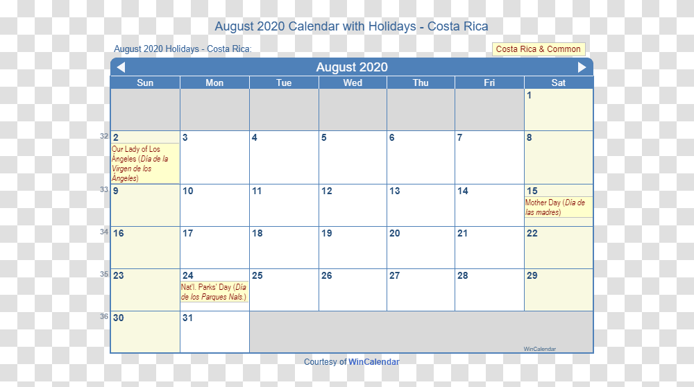 August 2020 Calendar With Nld Holidays, Monitor, Screen, Electronics Transparent Png