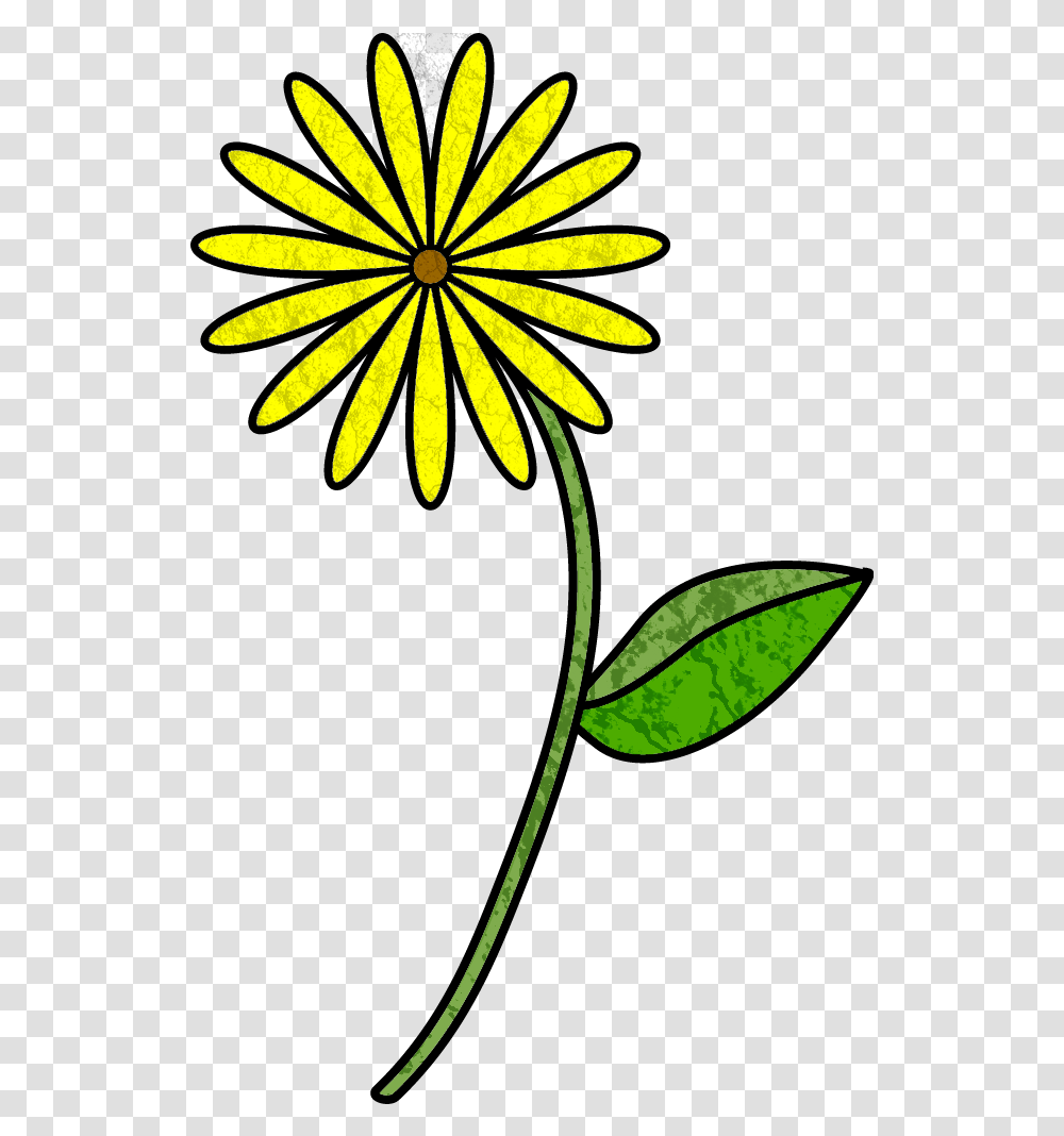 August Cartoon Flower With Stem Clipart Full Size Simple Flower Drawing Designs, Plant, Blossom, Daisy, Daisies Transparent Png