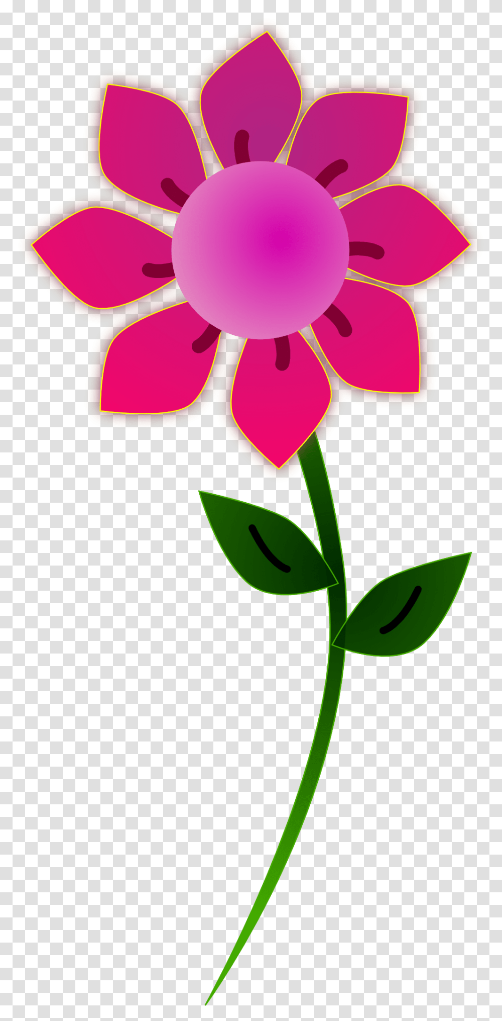 August, Plant, Flower, Petal, Floral Design Transparent Png