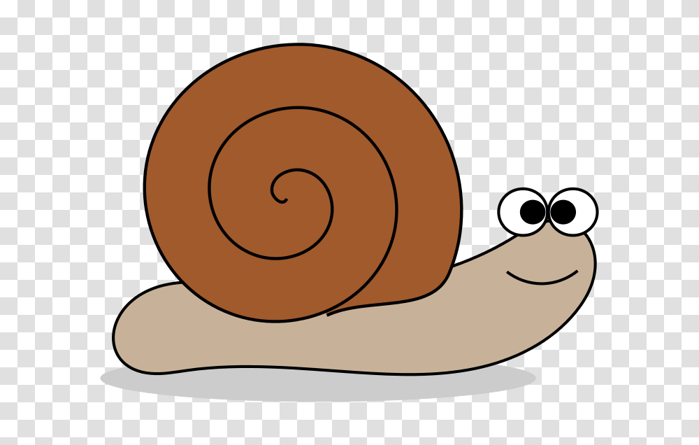 August Tamra Excell, Snail, Invertebrate, Animal Transparent Png